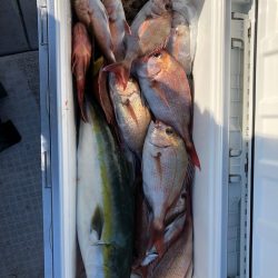 フィッシング キッタカ 釣果