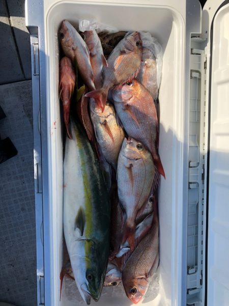 フィッシング キッタカ 釣果