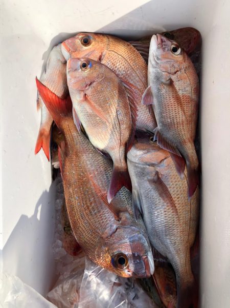 フィッシング キッタカ 釣果