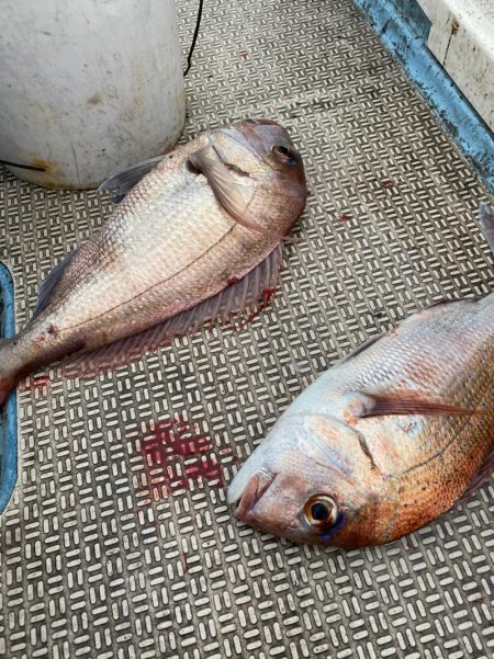 龍神丸（鹿児島） 釣果