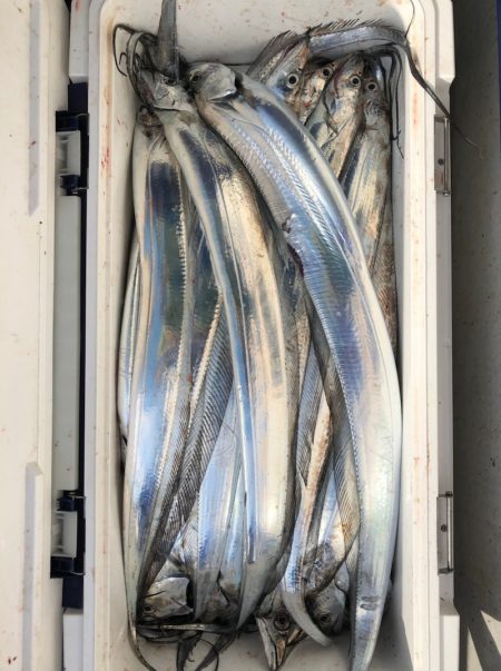 フィッシング　キッタカ 釣果