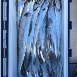 フィッシング　キッタカ 釣果