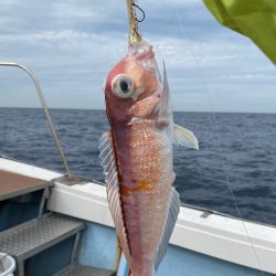 あみや渡船 JIGBOY 釣果