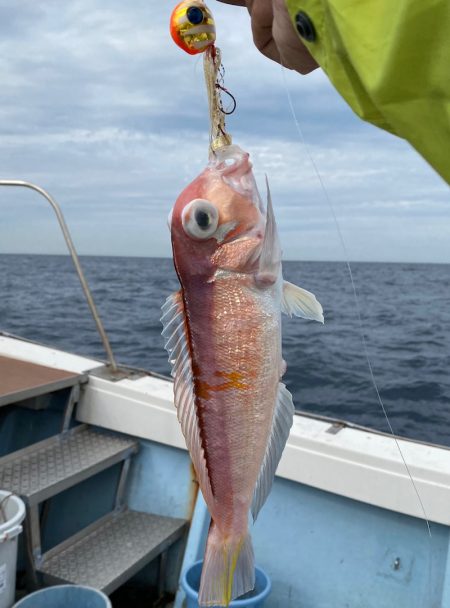 あみや渡船 JIGBOY 釣果