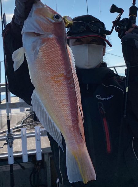 あみや渡船 JIGBOY 釣果