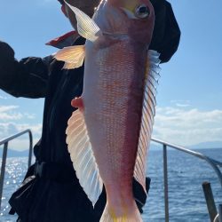 あみや渡船 JIGBOY 釣果