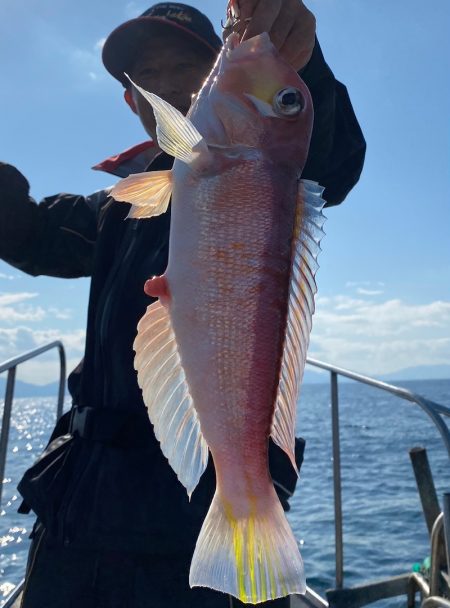 あみや渡船 JIGBOY 釣果