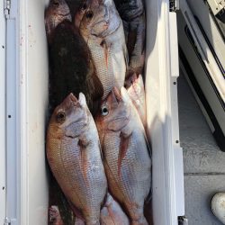 フィッシング　キッタカ 釣果