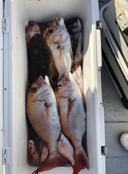 フィッシング　キッタカ 釣果