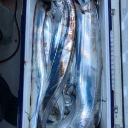 フィッシング　キッタカ 釣果