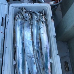 フィッシング　キッタカ 釣果