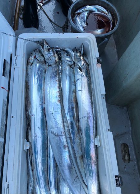 フィッシング　キッタカ 釣果