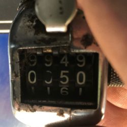 フィッシング　キッタカ 釣果