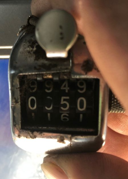 フィッシング　キッタカ 釣果