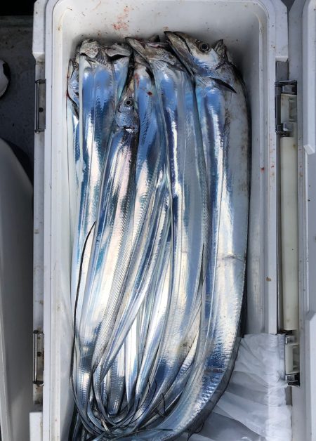 フィッシング　キッタカ 釣果