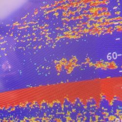 あみや渡船 JIGBOY 釣果