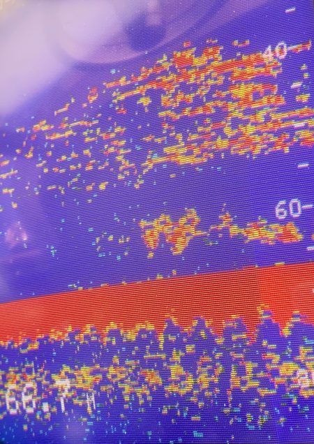 あみや渡船 JIGBOY 釣果