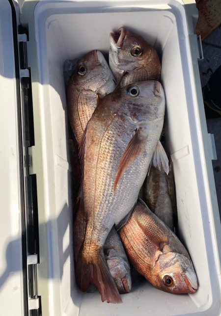 フィッシング　キッタカ 釣果