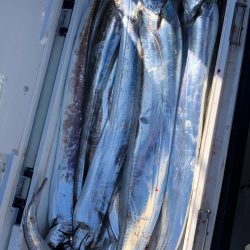 フィッシング　キッタカ 釣果