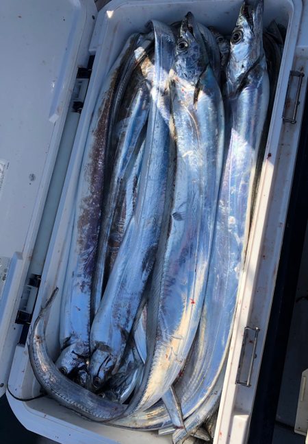 フィッシング　キッタカ 釣果