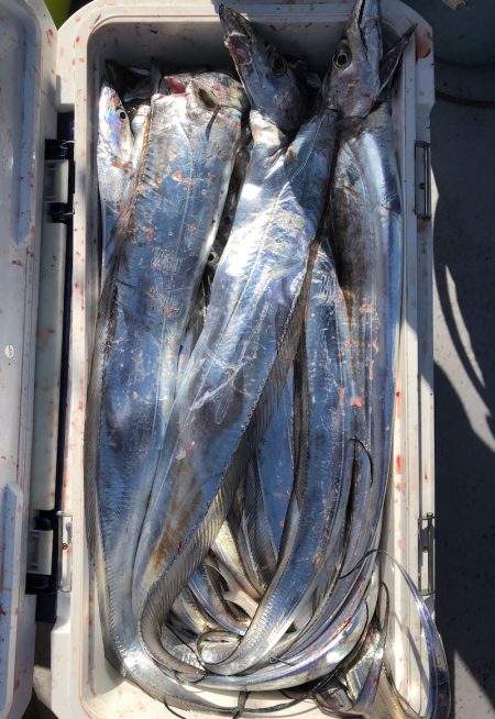 フィッシング　キッタカ 釣果