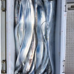 フィッシング　キッタカ 釣果