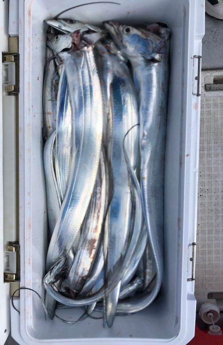 フィッシング　キッタカ 釣果