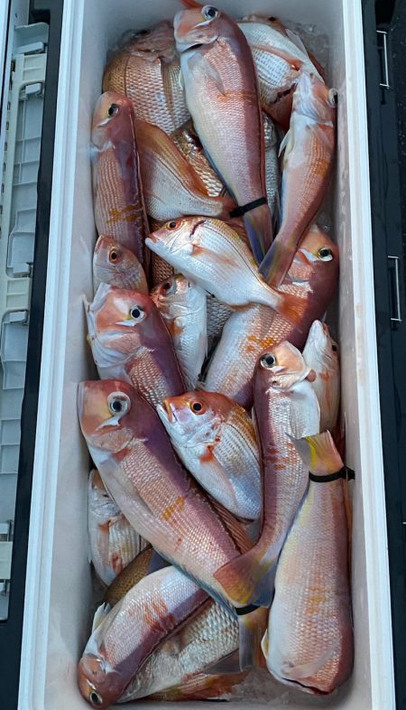 あみや渡船 JIGBOY 釣果