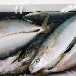 海龍丸（石川） 釣果