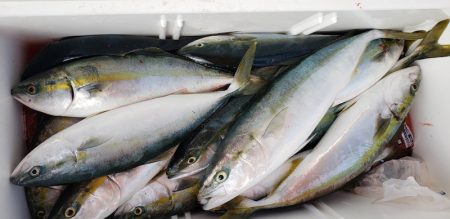 海龍丸（石川） 釣果