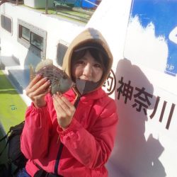 島きち丸 釣果