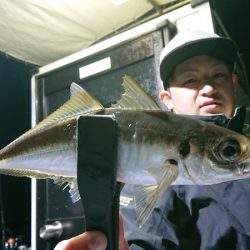 シースナイパー海龍 釣果