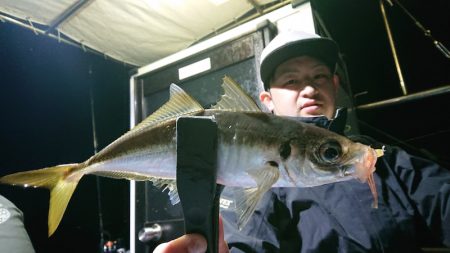 シースナイパー海龍 釣果