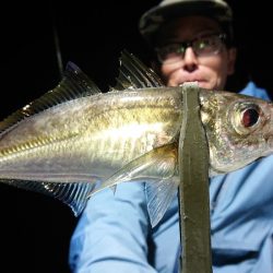 シースナイパー海龍 釣果