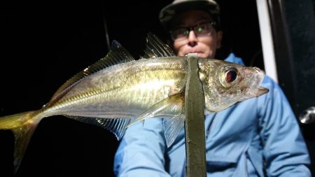 シースナイパー海龍 釣果