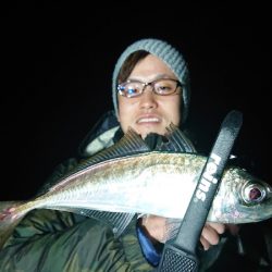 シースナイパー海龍 釣果