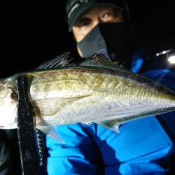 シースナイパー海龍 釣果
