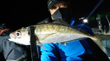 シースナイパー海龍 釣果