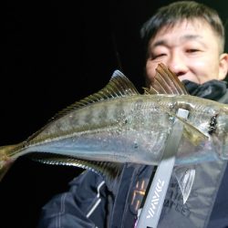 シースナイパー海龍 釣果