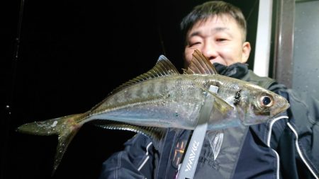 シースナイパー海龍 釣果