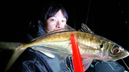 シースナイパー海龍 釣果