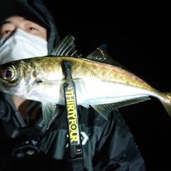 シースナイパー海龍 釣果