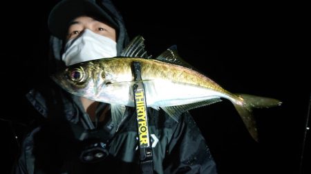 シースナイパー海龍 釣果
