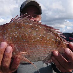 第三共栄丸 釣果