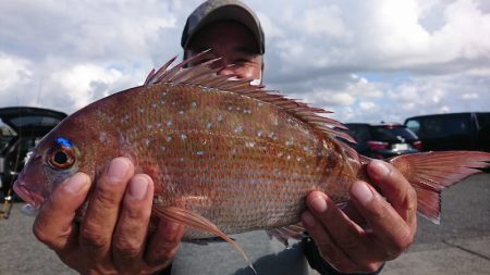 第三共栄丸 釣果