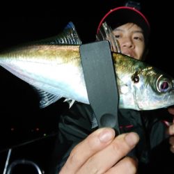 シースナイパー海龍 釣果