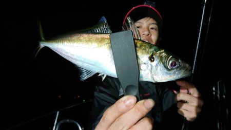 シースナイパー海龍 釣果