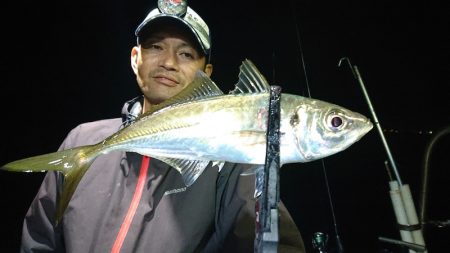 シースナイパー海龍 釣果