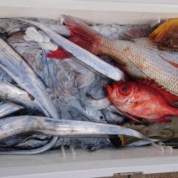 海皇丸 釣果