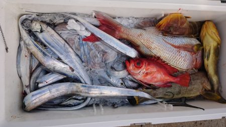海皇丸 釣果